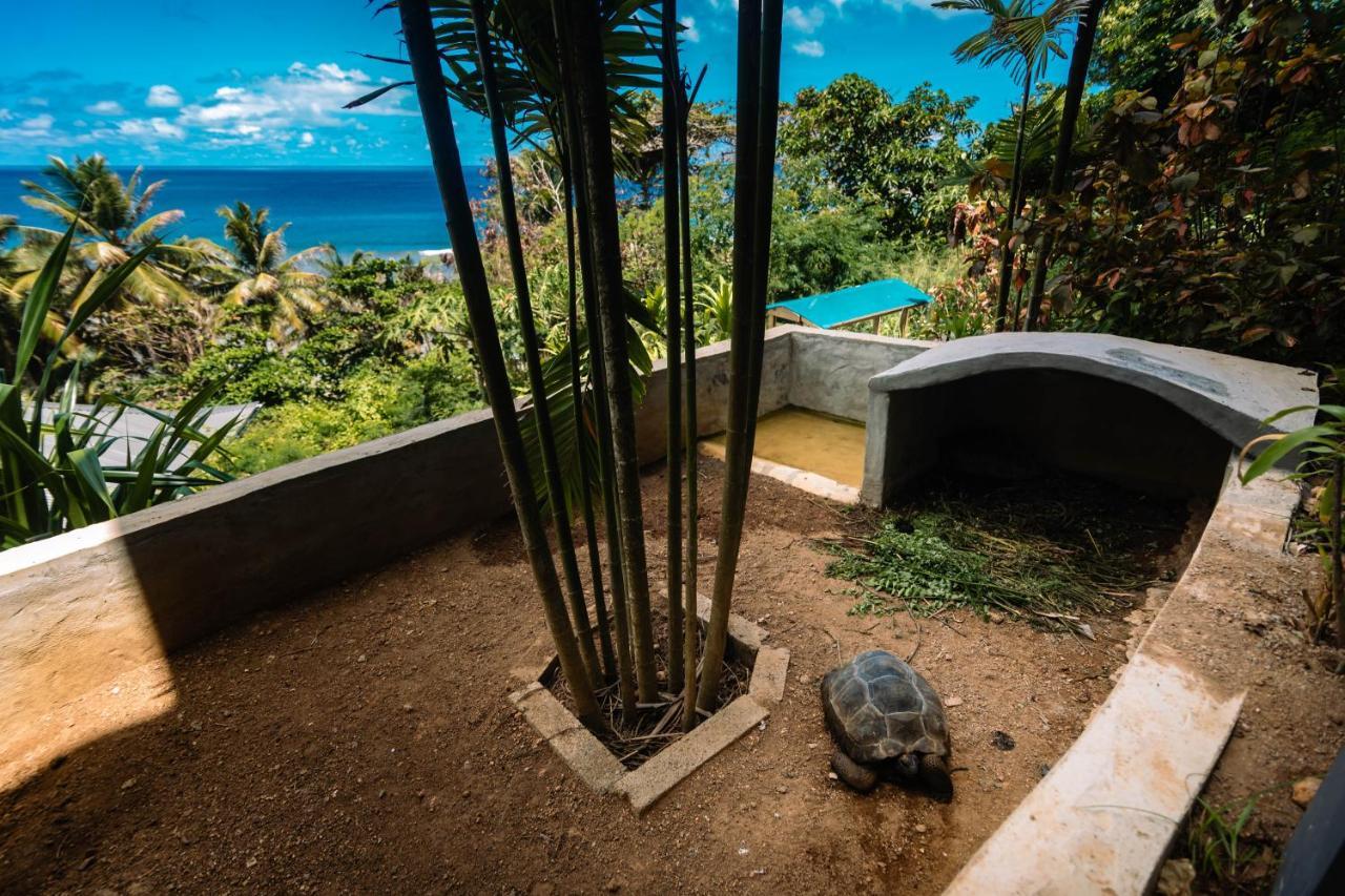Paradise Chalets Yoga & Wellness Такамака Экстерьер фото