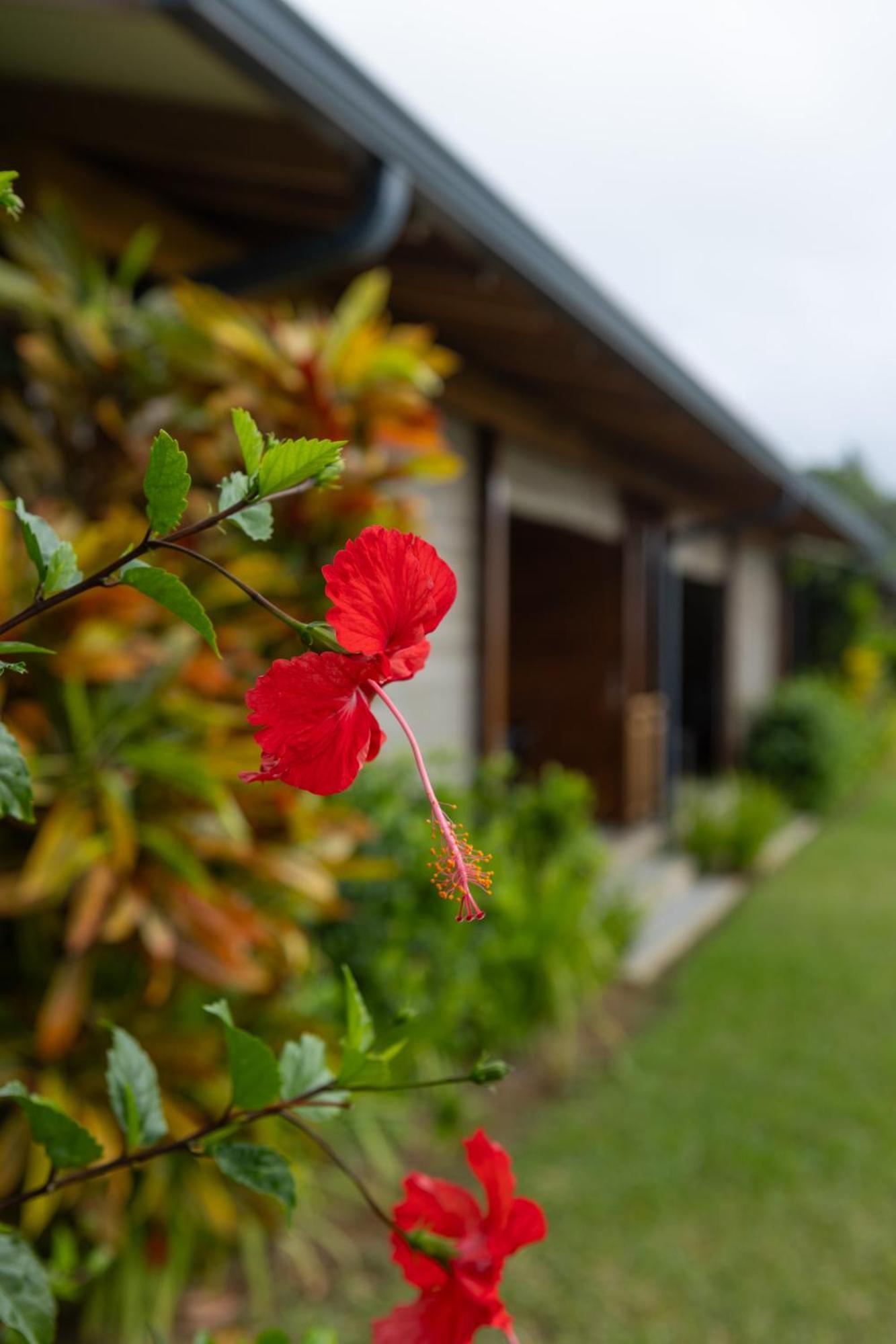 Paradise Chalets Yoga & Wellness Такамака Экстерьер фото