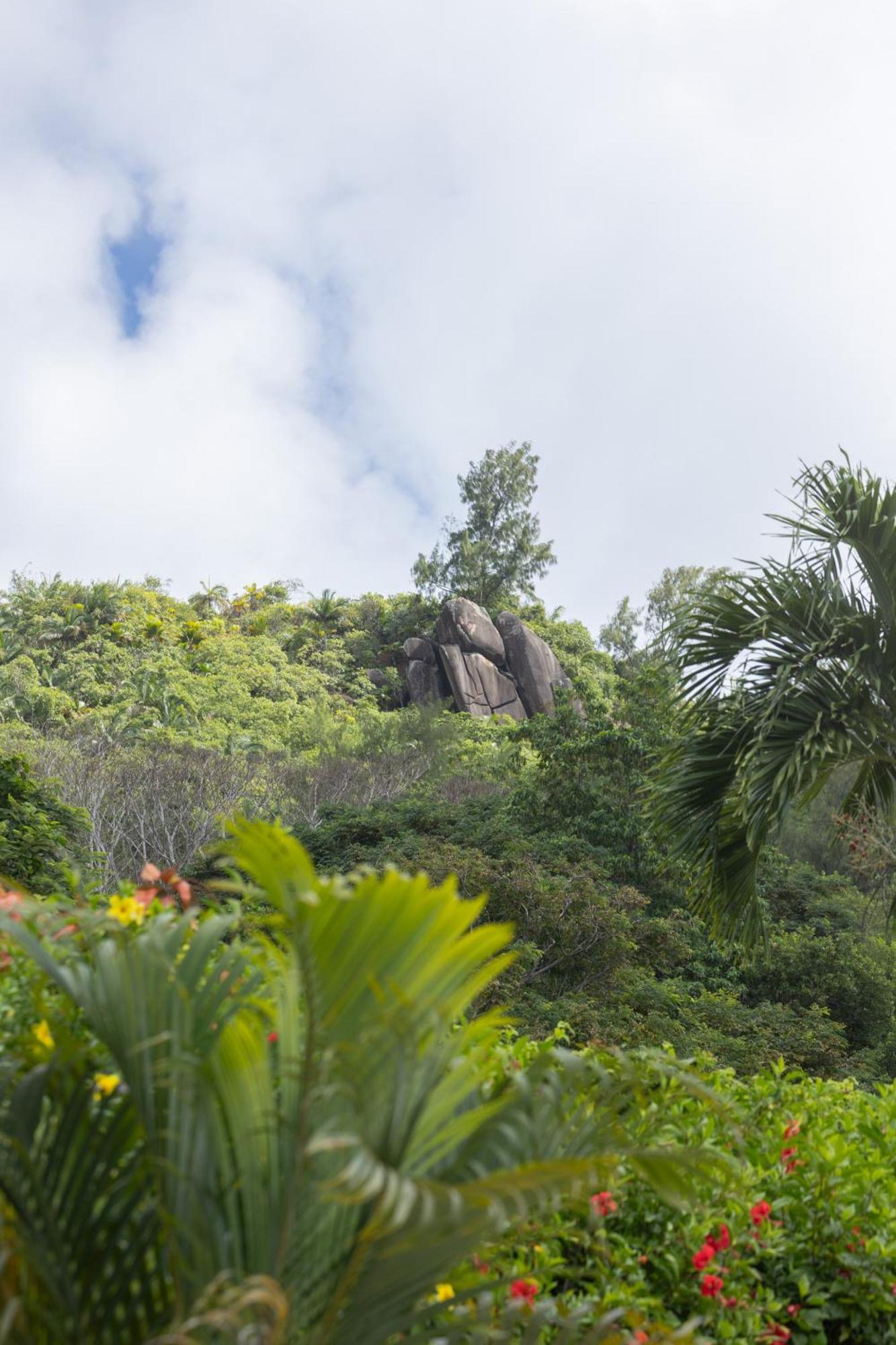 Paradise Chalets Yoga & Wellness Такамака Экстерьер фото